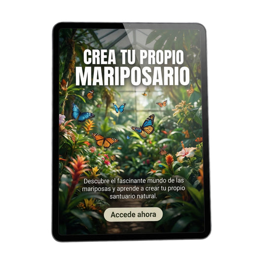 Crea tu Propio Mariposario